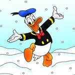 Winterduck Avatar