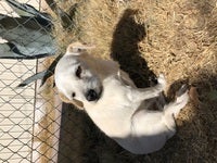 IMG_1312.jpeg