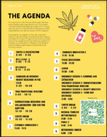 Screen Shot 2019-03-20 at 12.07.17 PM.png