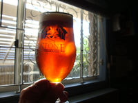 Kiwi Aussie IPA.JPG